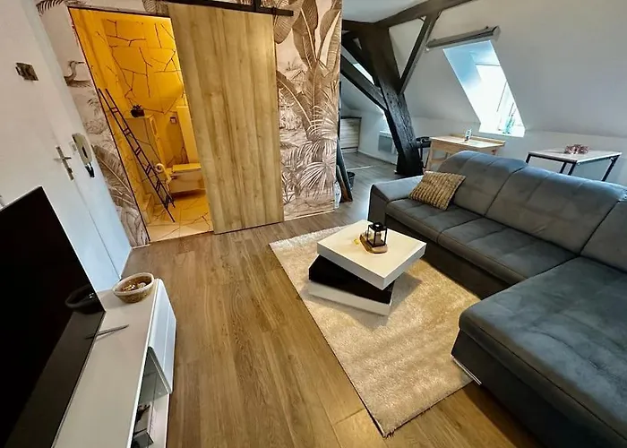 Logement Entier Au Coeur De Strasbourg